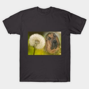 Bloodhound Dog Dandelion T-Shirt